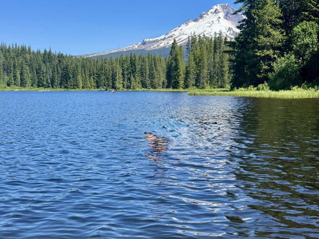 延龄草湖-Government Camp必去景点
