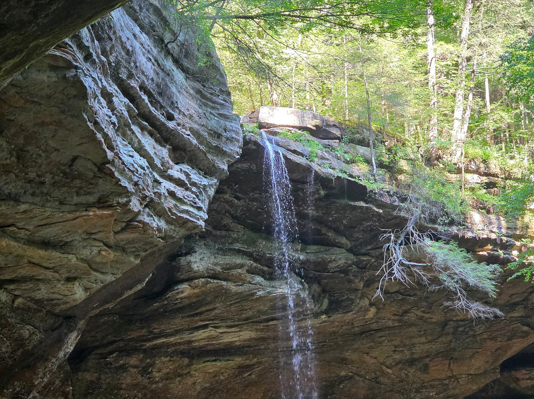 The Ghost Patrol-New Plymouth必去景点