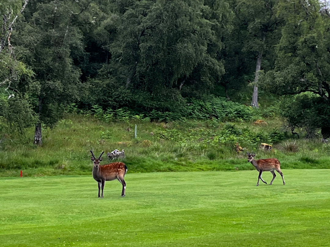 Kingussie Golf Club-Kingussie必去景点