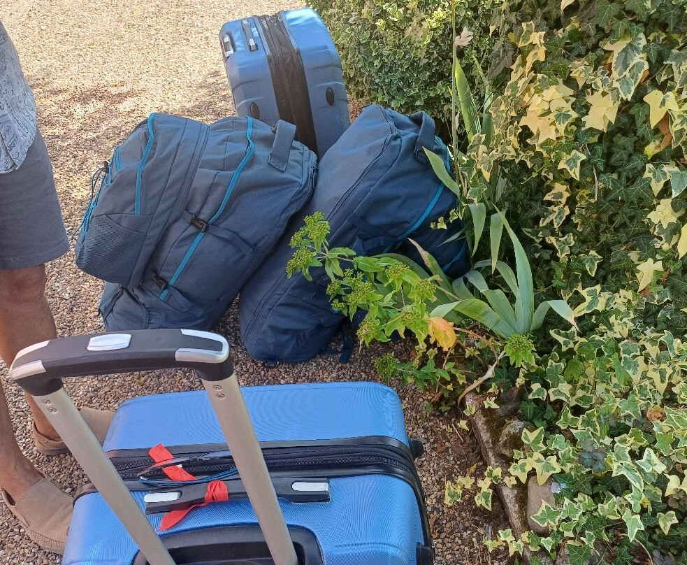 The Cottage Guest House主图