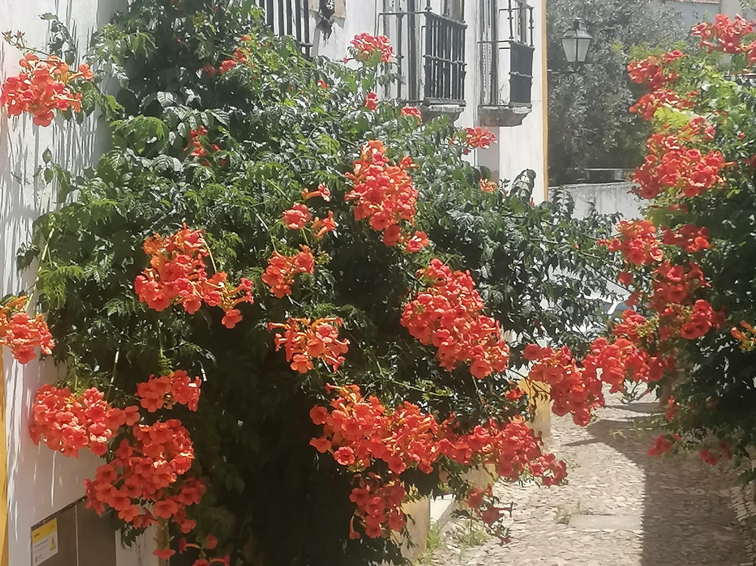 Sao Tiago Church-奥比都斯必去景点