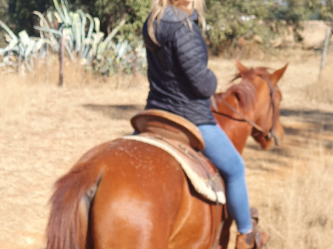 Diamond X Cowboy Ranch-Rayton必去景点