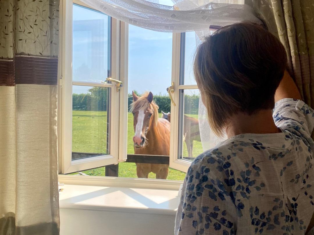 Redhouse Farm Bed & Breakfast主图