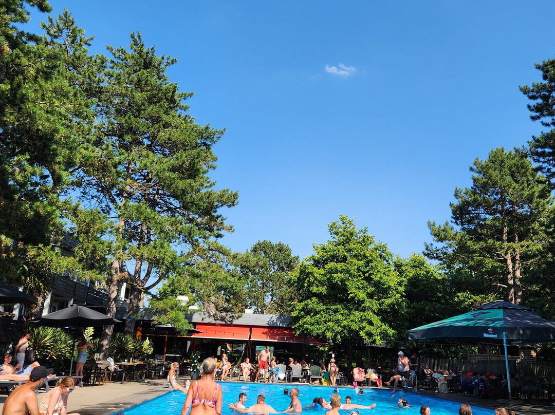 Badhotel Rockanje & Brasserie Lodgers主图