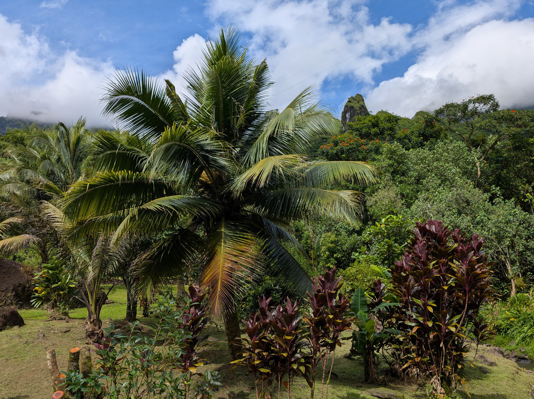 Tetapua Quad Tahiti ATV-帕皮提必去景点