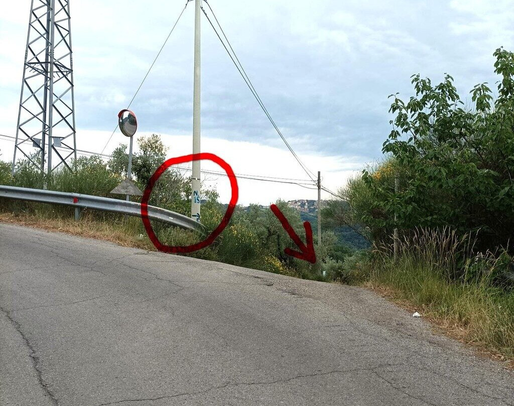 Agriturismo il Poggio degli Scoiattoli主图