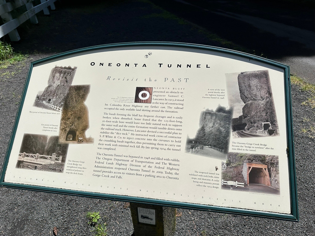 Oneonta Gorge-Cascade Locks必去景点