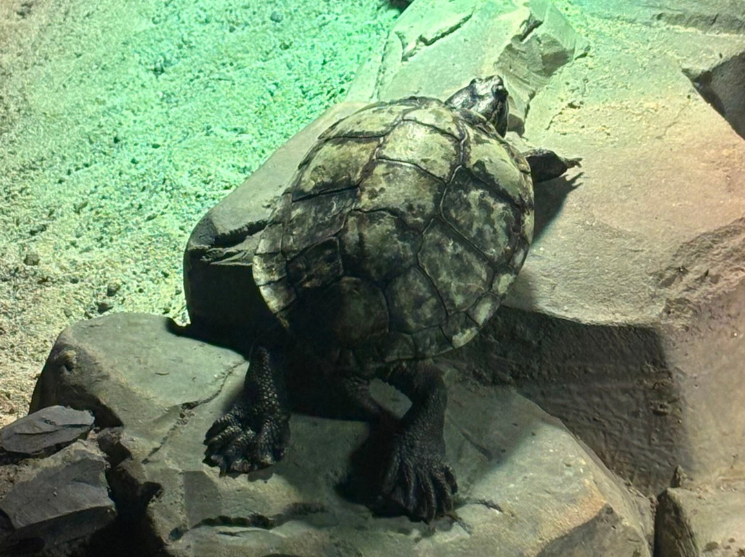 Lakes Aquarium-Newby Bridge必去景点