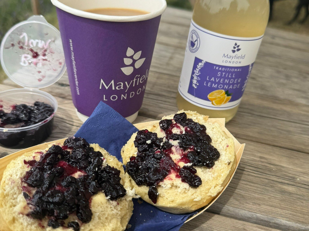 Mayfield Lavender Farm-Banstead必去景点