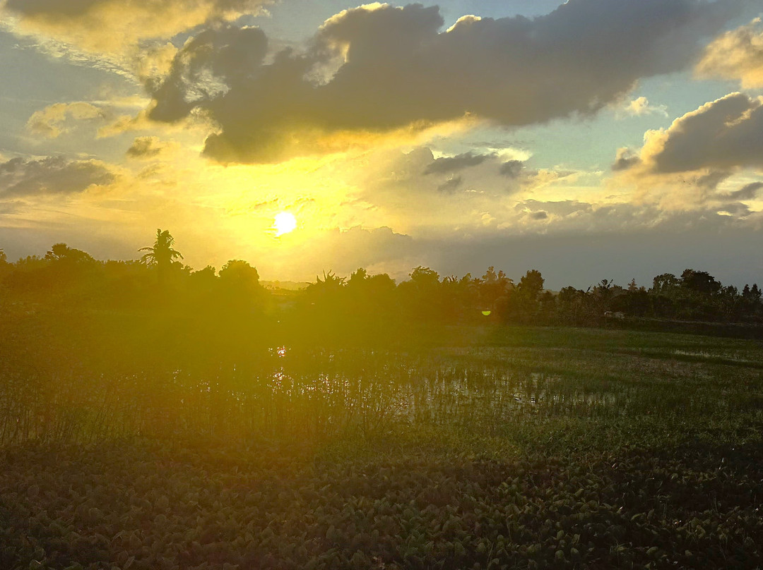 Barisal Waterland-Barisal City必去景点
