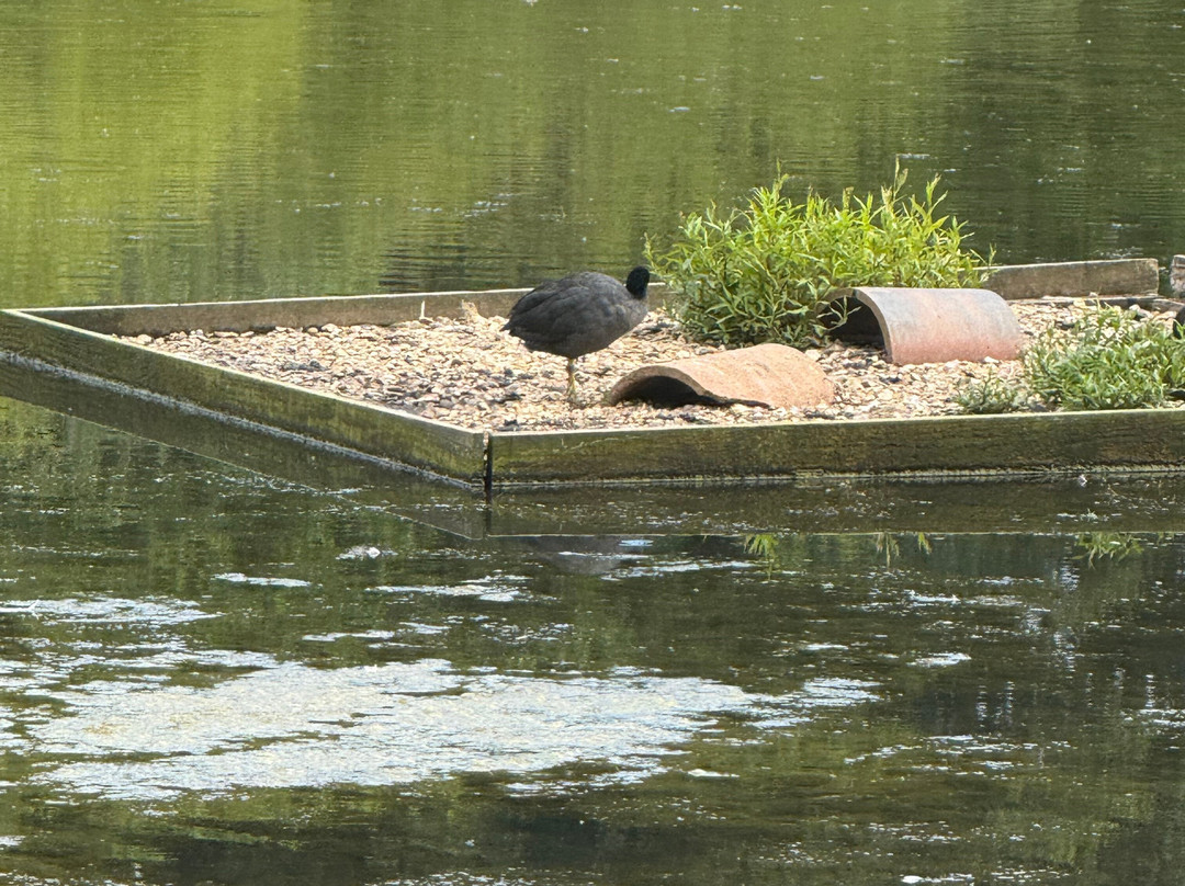 Warnham Local Nature Reserve-霍舍姆必去景点