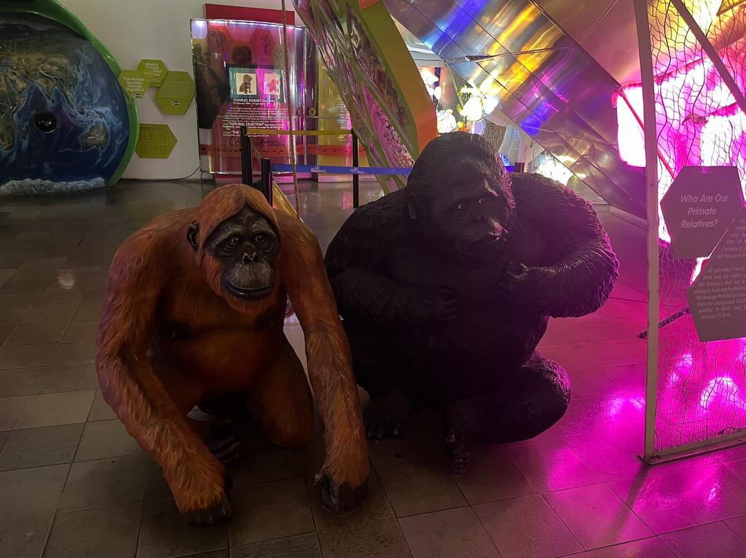 达义心灵博物馆-塔吉格必去景点