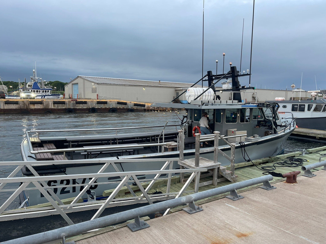 The Fiddling Fisherman-Souris必去景点