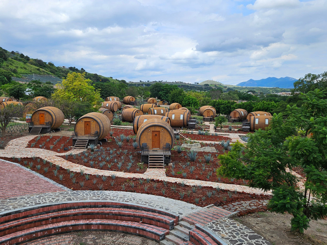 Matices Hotel de Barricas主图