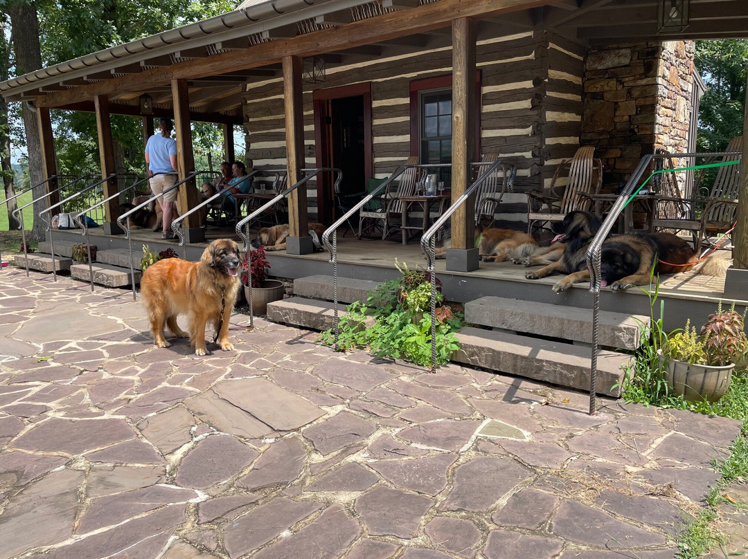 Revalation Vineyards-Madison必去景点