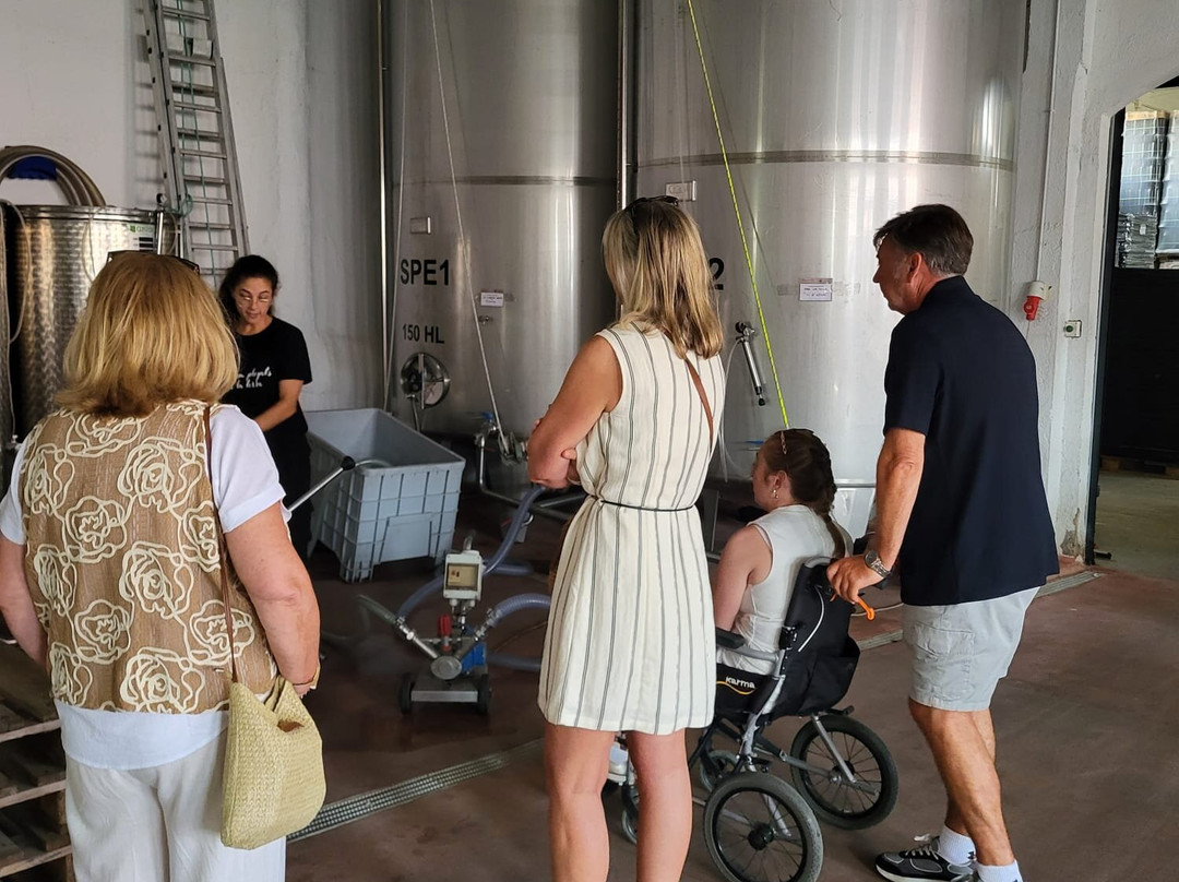 Vinicola del Priorat-Gratallops必去景点