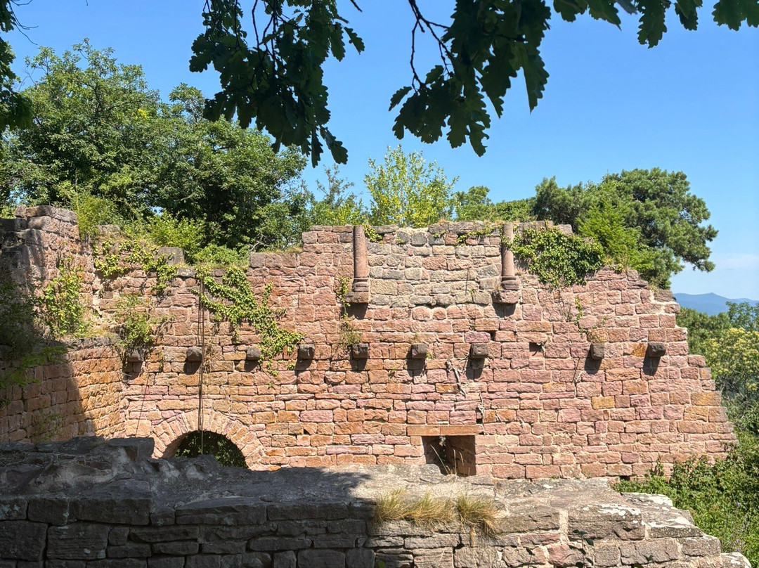 Les Trois-Chateaux du Haut-Eguisheim-艾古斯汉必去景点