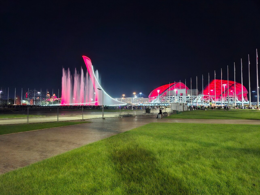 Light and Music Fountain-艾德勒必去景点