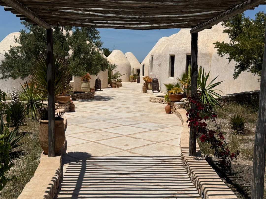 Les Jardins de Villa Maroc主图