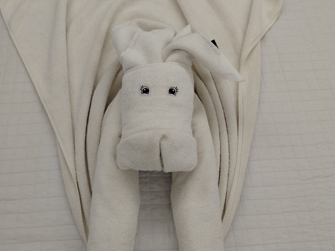 Hotel Brisa Suítes主图