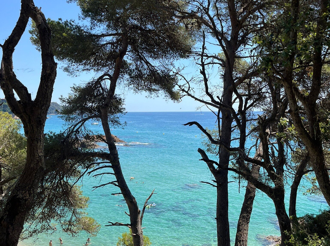 Playa de Santa Cristina-犹兰特德玛必去景点