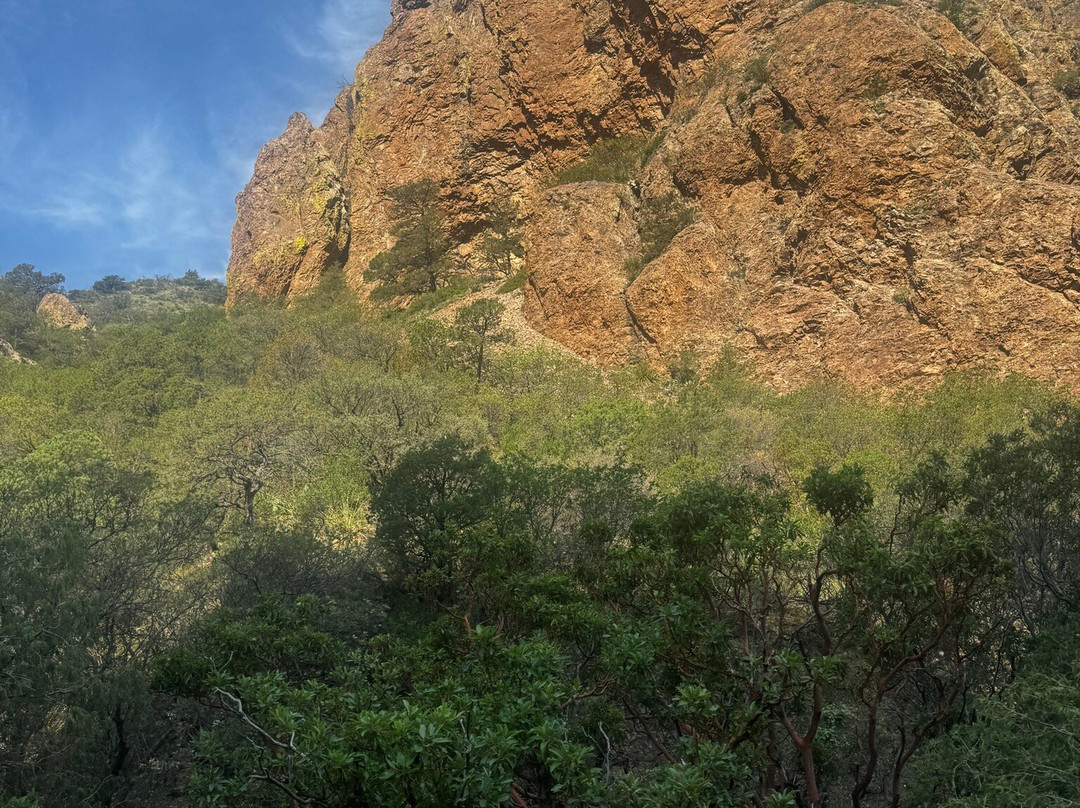 Get Lost Tours-Terlingua必去景点