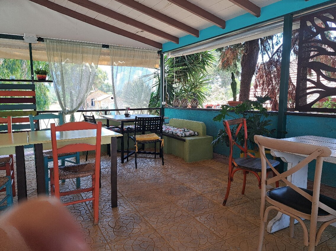 Kaktos Cafe Grill Bar