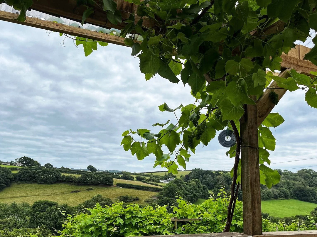 Looe Valley Vineyard-卢城必去景点