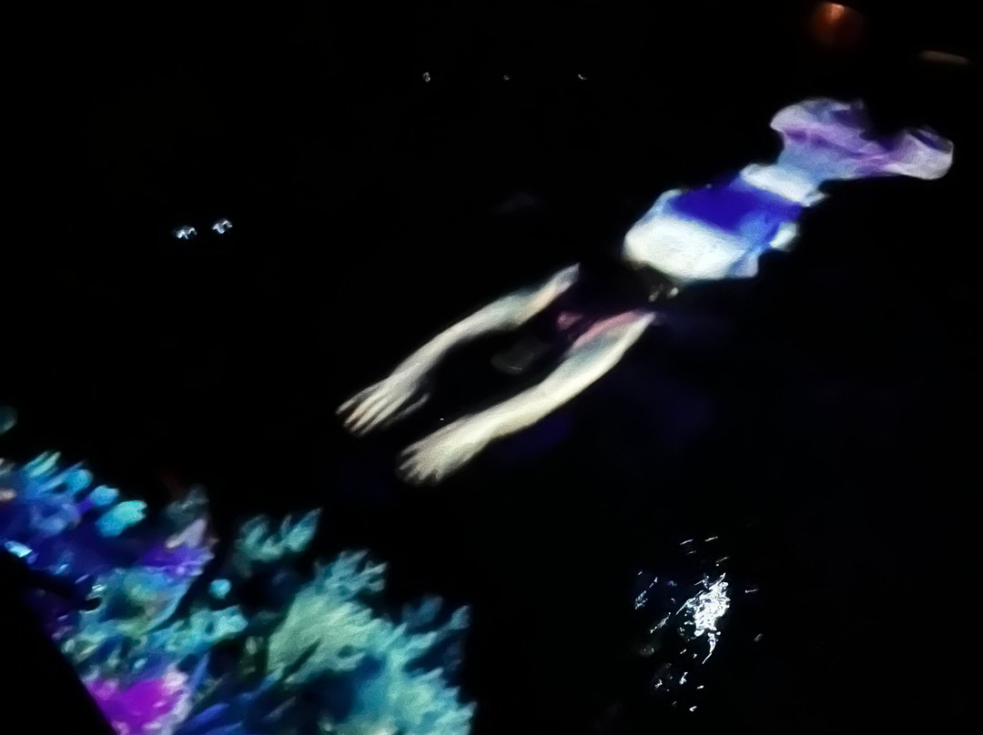 MAD Arts-达尼亚滩必去景点