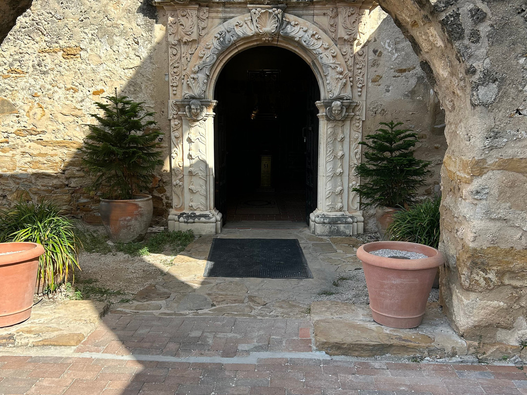 Gray Line Tours-奥斯丁必去景点