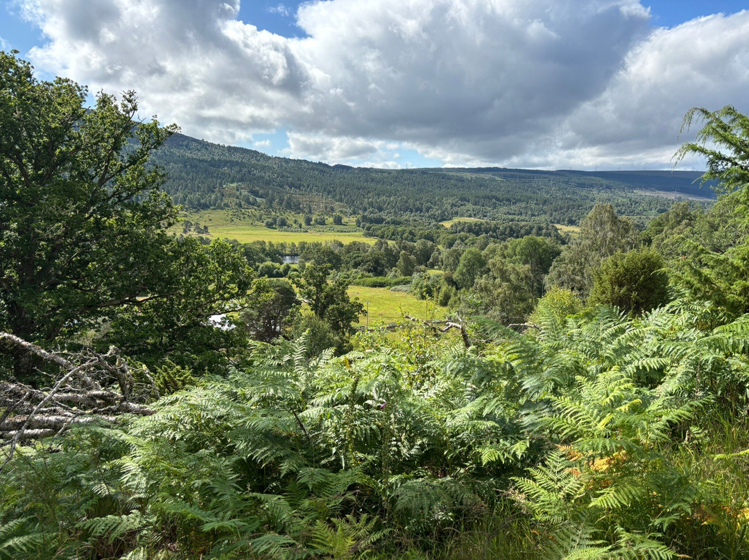 Dundreggan Rewilding Centre-因弗内斯必去景点