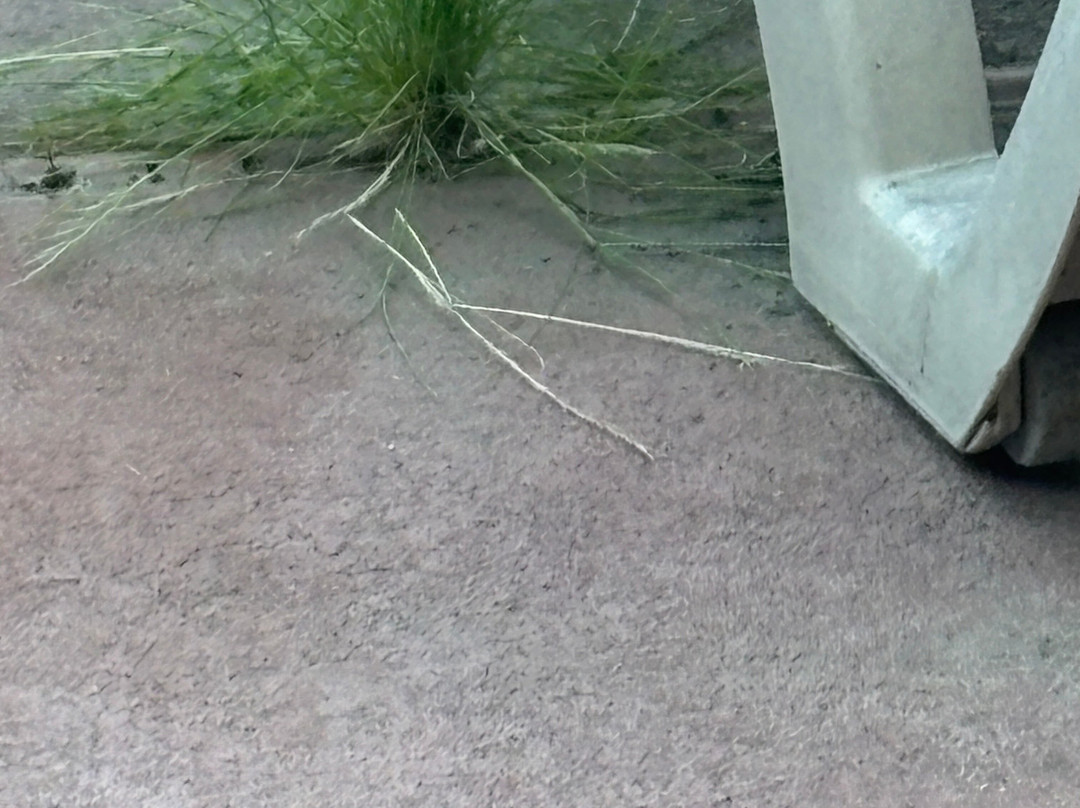 Quality Inn Black Mountain-asheville East主图