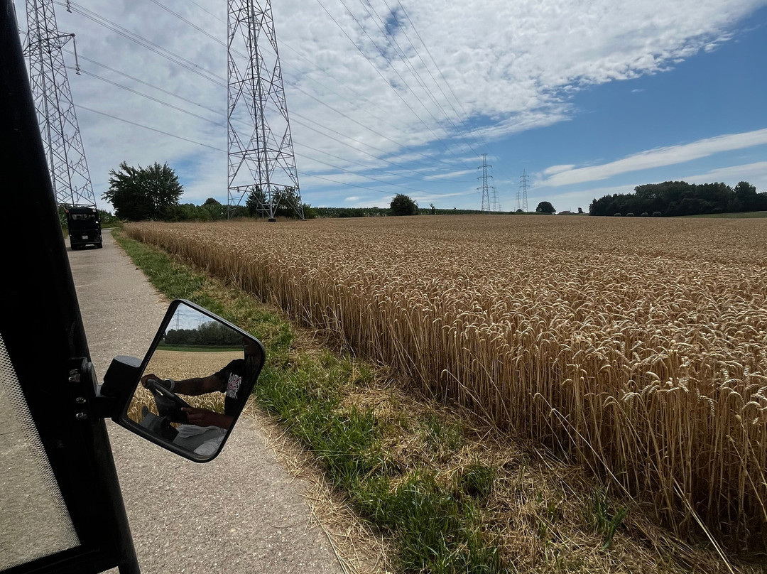 Brut Wines & Tours | Martenslinde-Bilzen必去景点