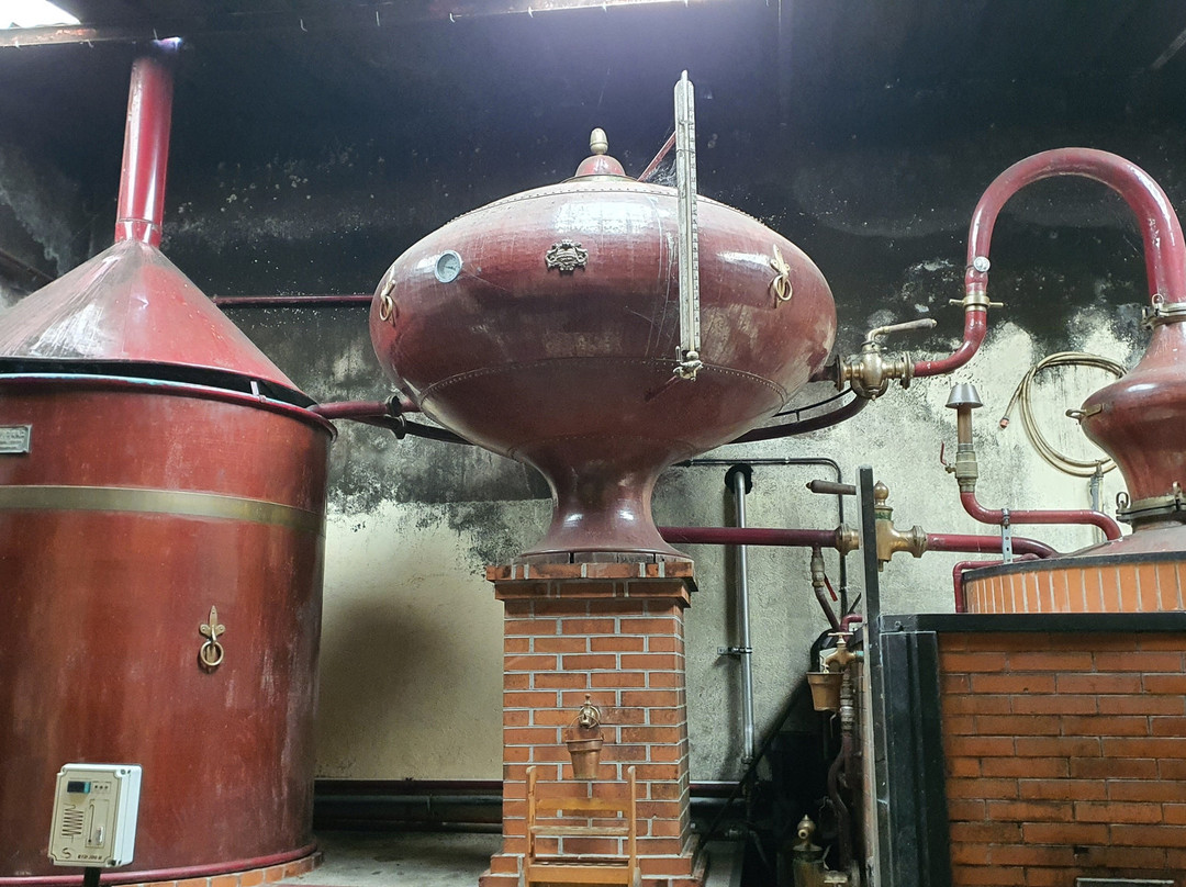 Domaine de Château Guynot-Tesson必去景点