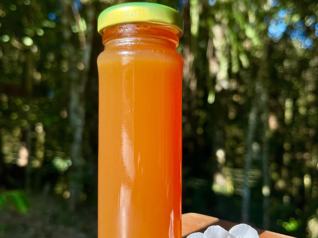 Meliponário Doce Paraíso-Colombo必去景点