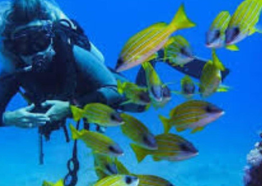 JET SET TRAVEL SANTA MARTA