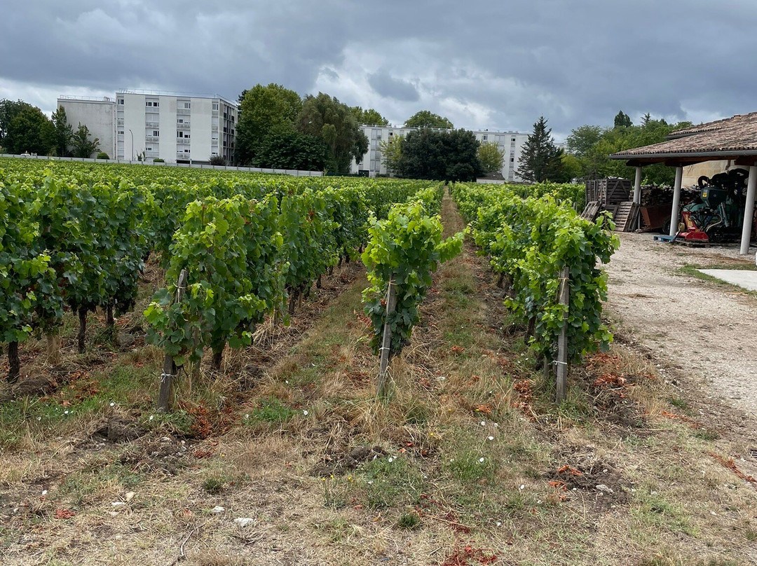 Château Cruzeau-利布尔纳必去景点