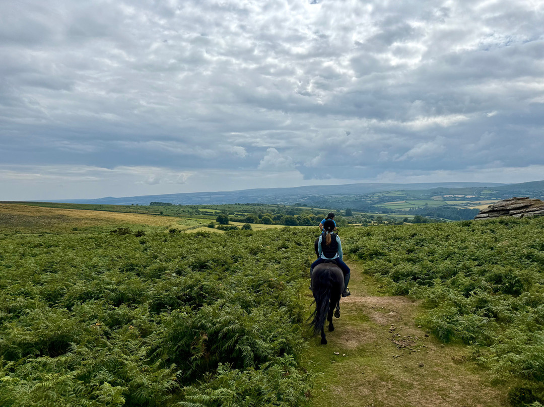 Shilstone Rocks-Widecombe in the Moor必去景点