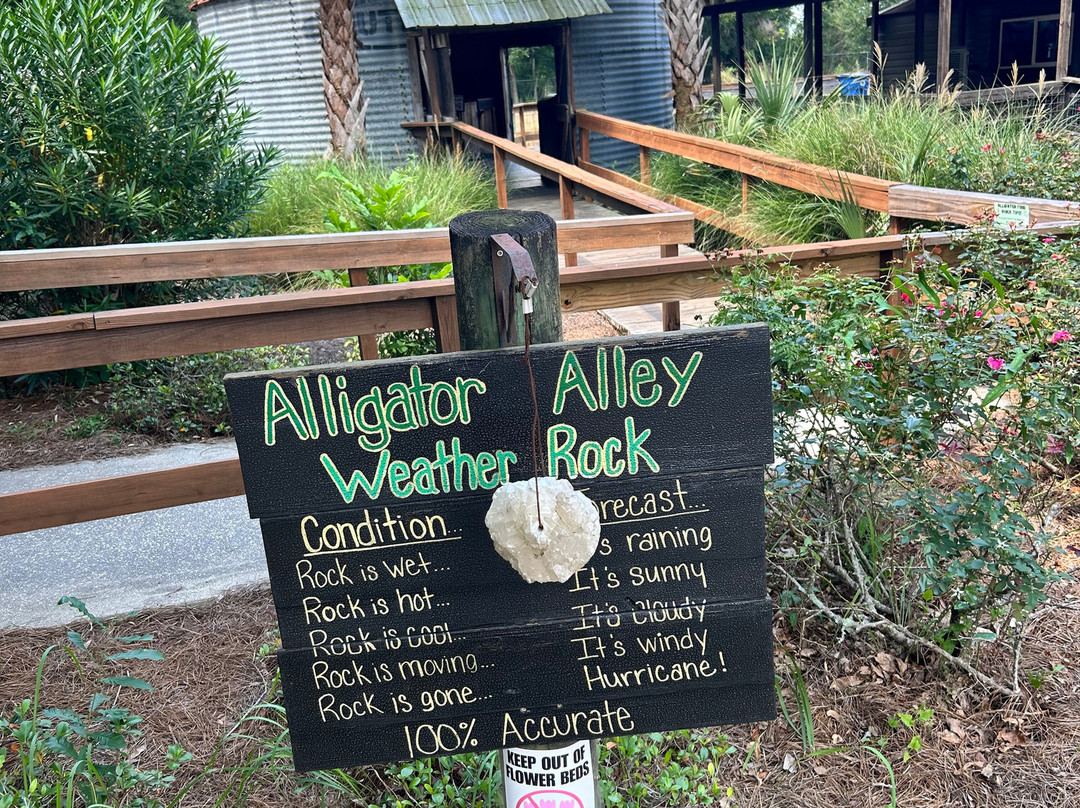 Alligator Alley-Summerdale必去景点