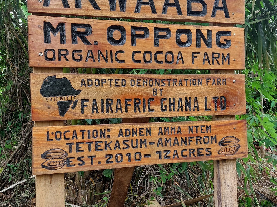 fairafric farm to factory tour-Suhum必去景点