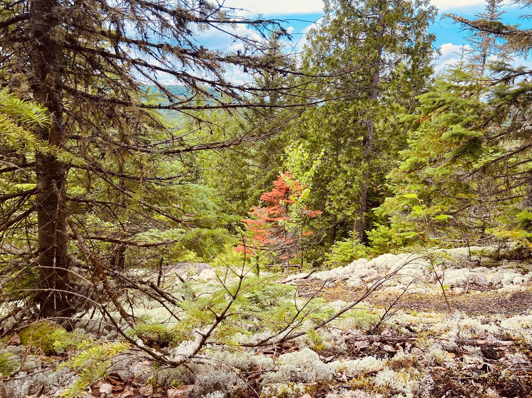 Parc national du Canada de la Mauricie-Saint-Jean-des-Piles必去景点