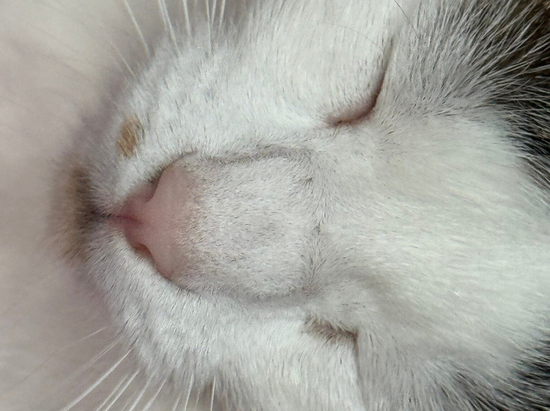 Schwarzachschlucht-Schwarzenbruck必去景点