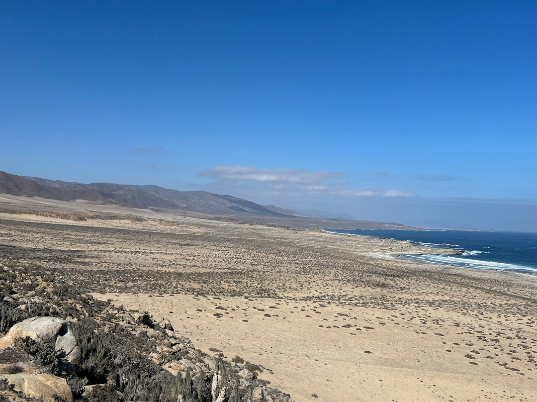 Olivos Centenarios-Huasco必去景点