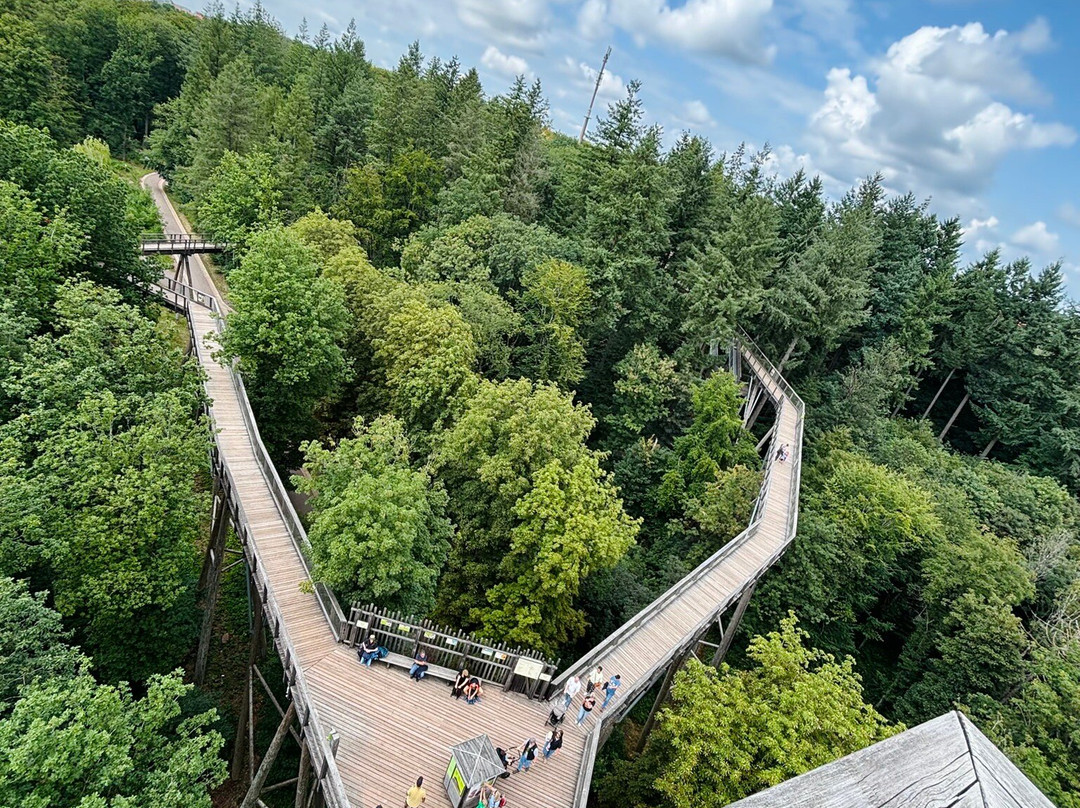 Treetop Path Saarschleife-Orscholz必去景点