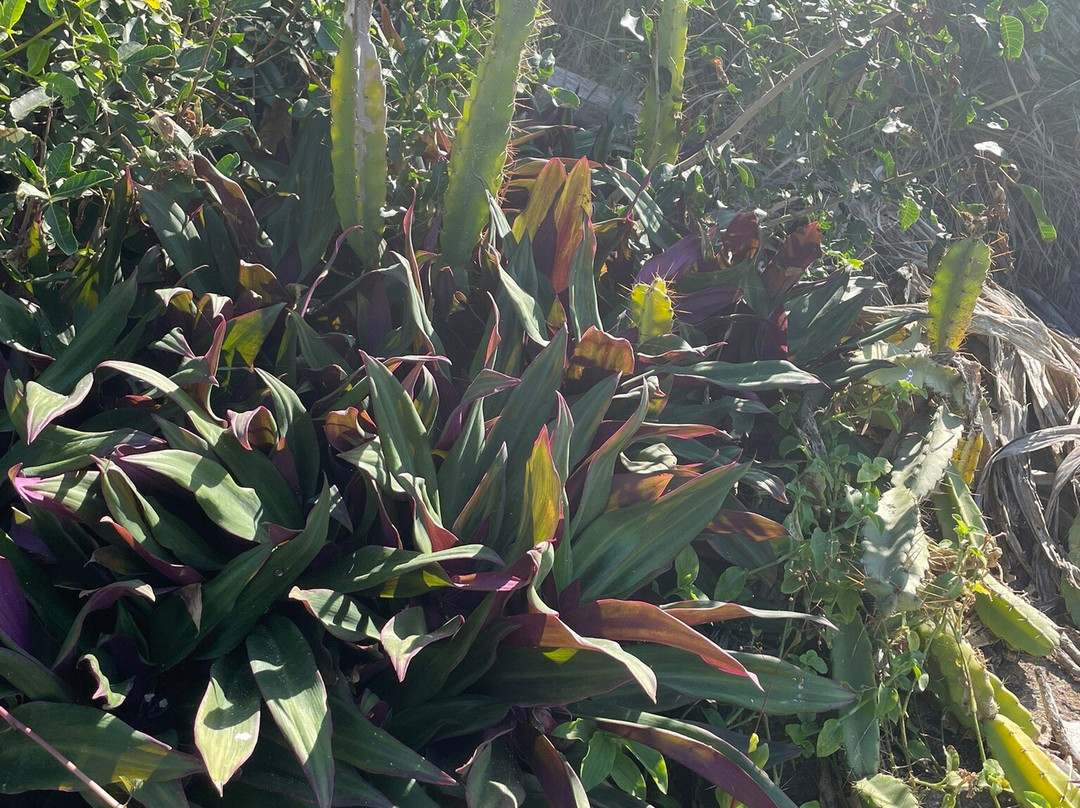 Praia Costa Azul-Iriri必去景点