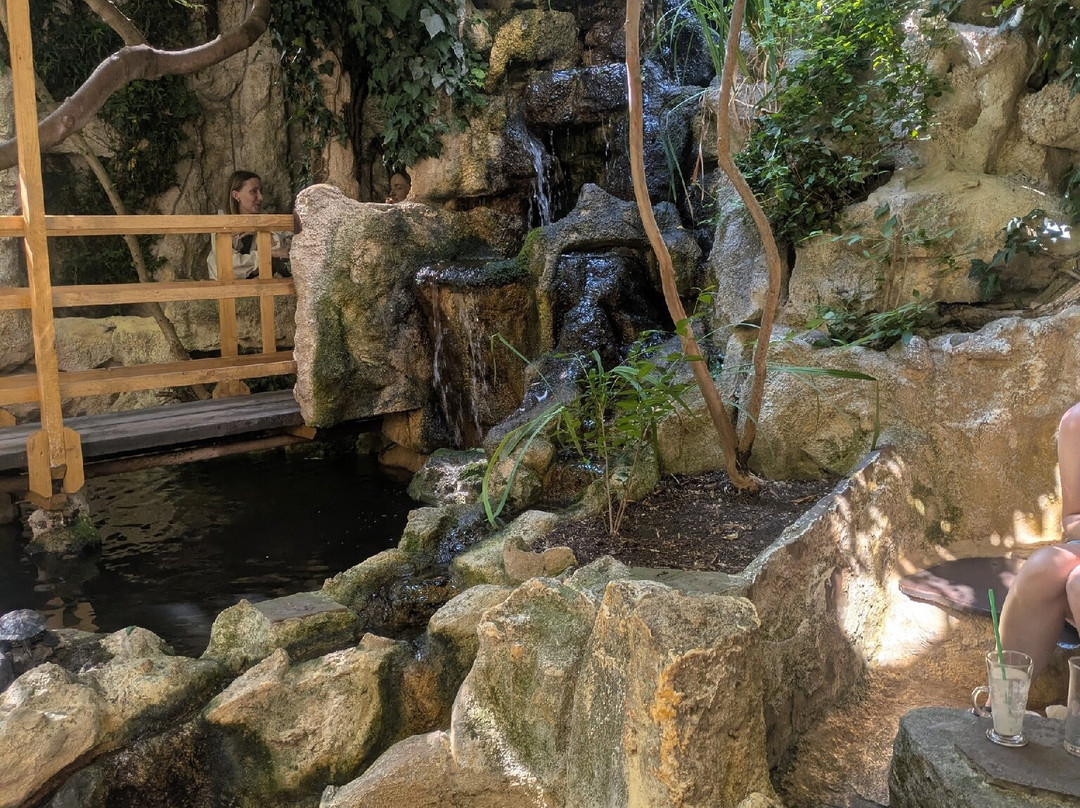 Michael's Eco Bar-内塞巴尔必去景点