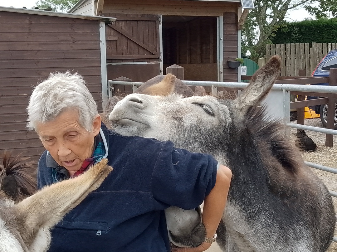 Barnhill Donkeys Retreat Sleagill-Sleagill必去景点