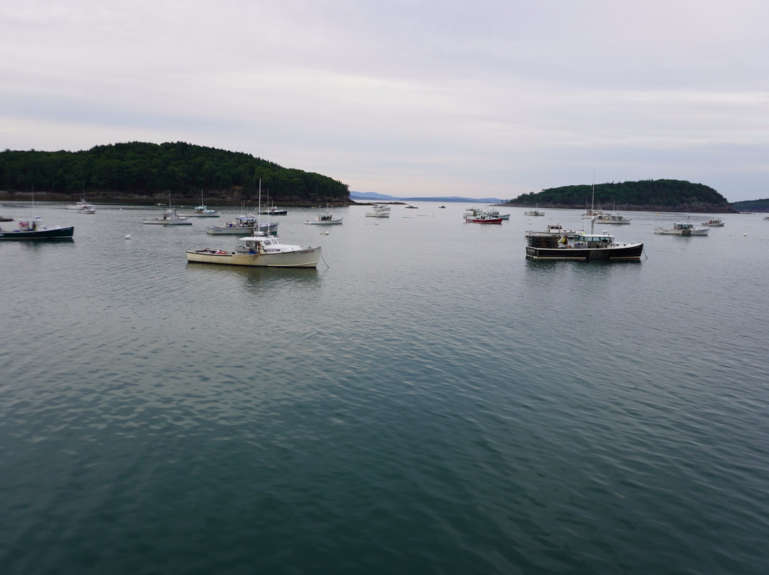 Bar Harbor Town Pier-巴港必去景点