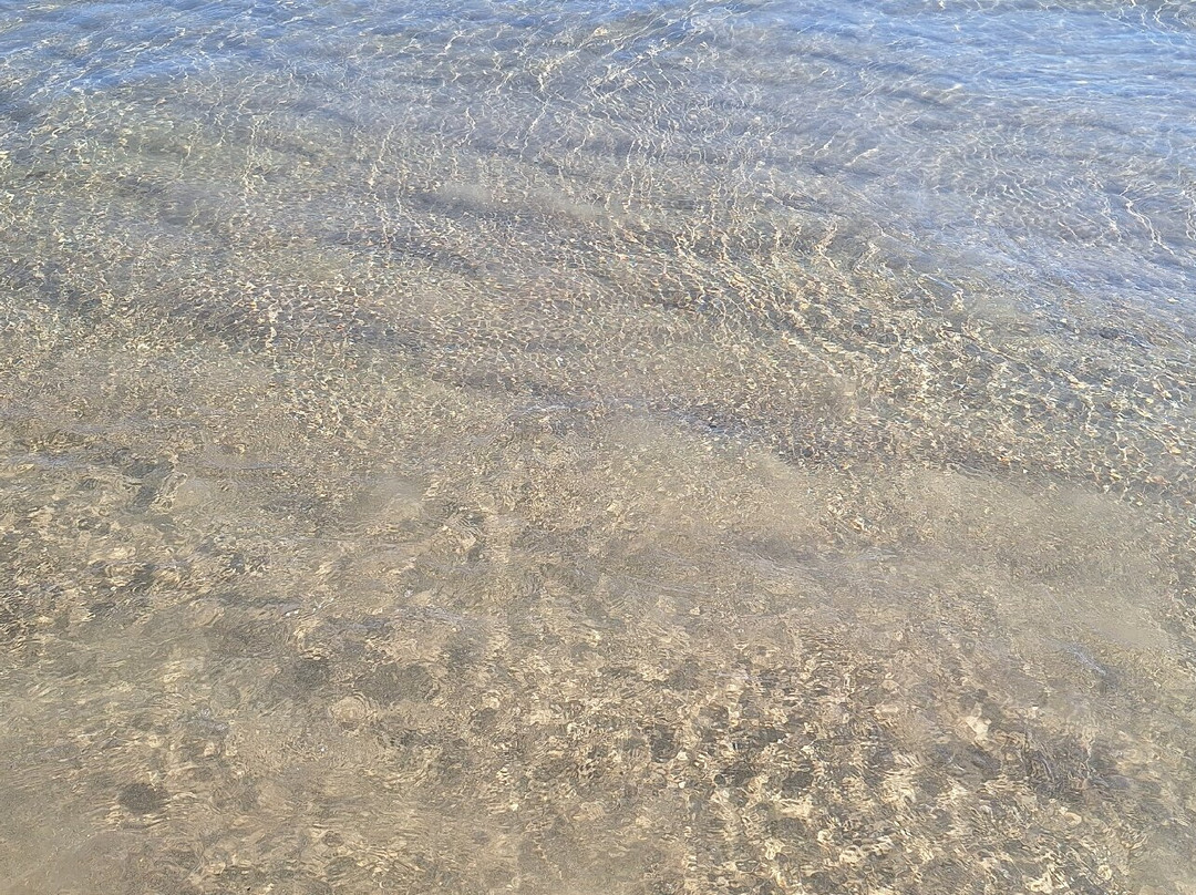Spiaggia di Mazzaforno-切法卢必去景点