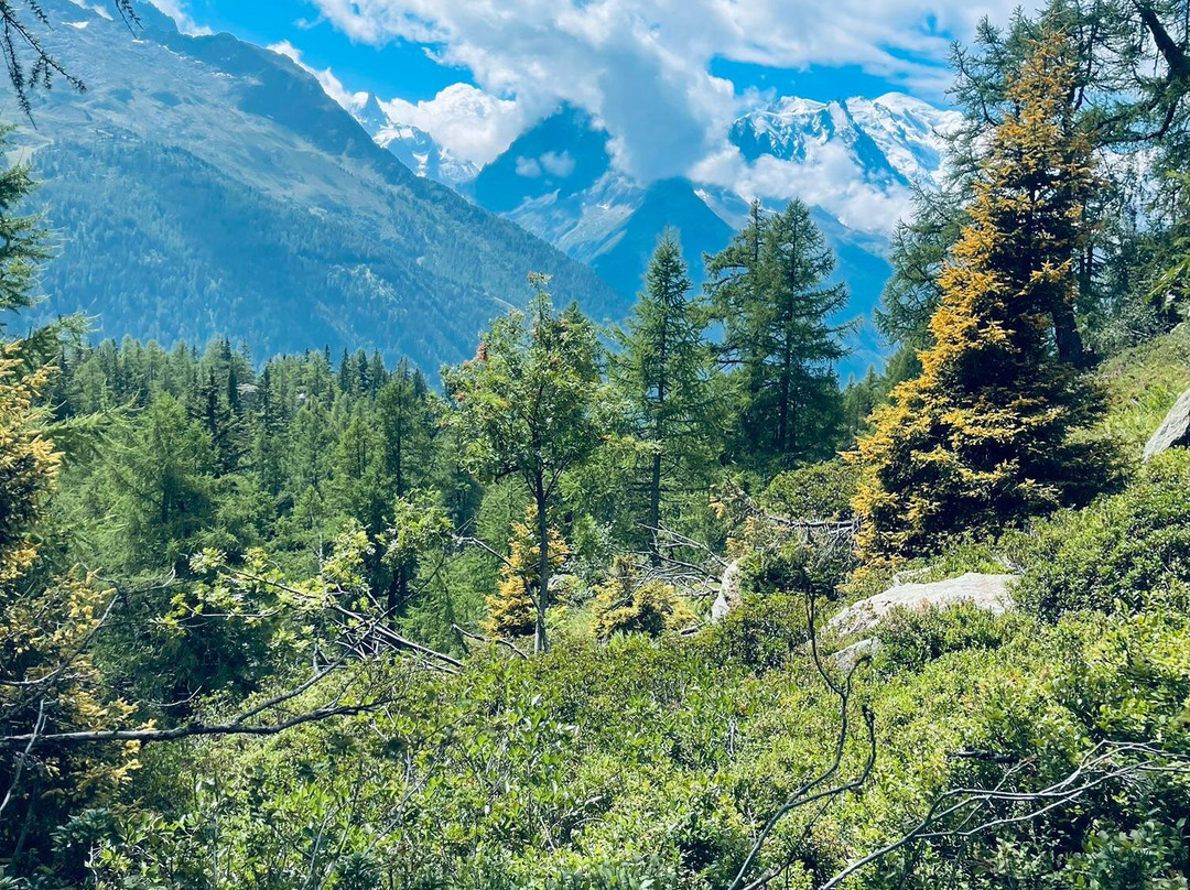 Volta Montana-邦特韦德拉必去景点